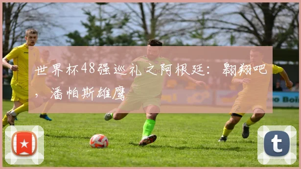 世界杯48强巡礼之阿根廷：翱翔吧，潘帕斯雄鹰
